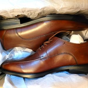 Bostonian Brown Oxford Shoes